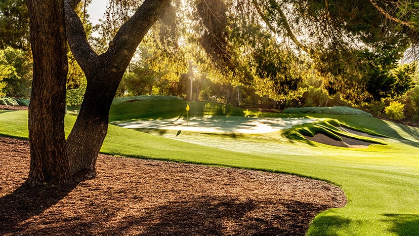 Wynn Resorts