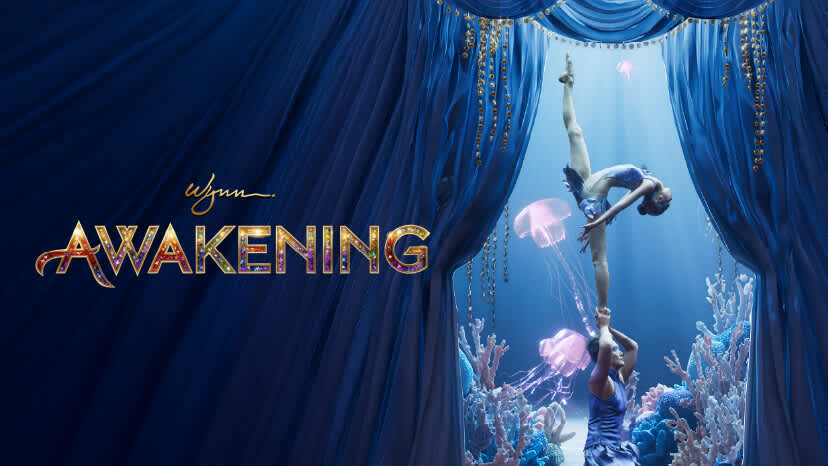 Awakening Slack Wire -  New Acts