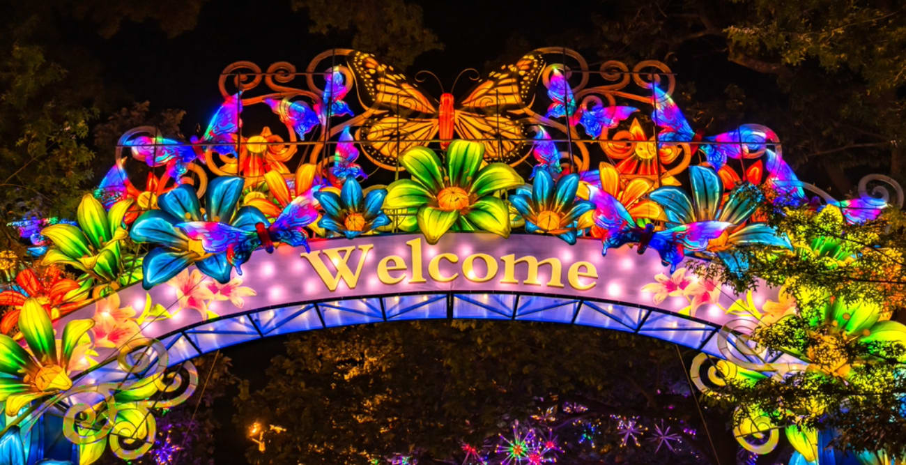 Zoo lights in Boston