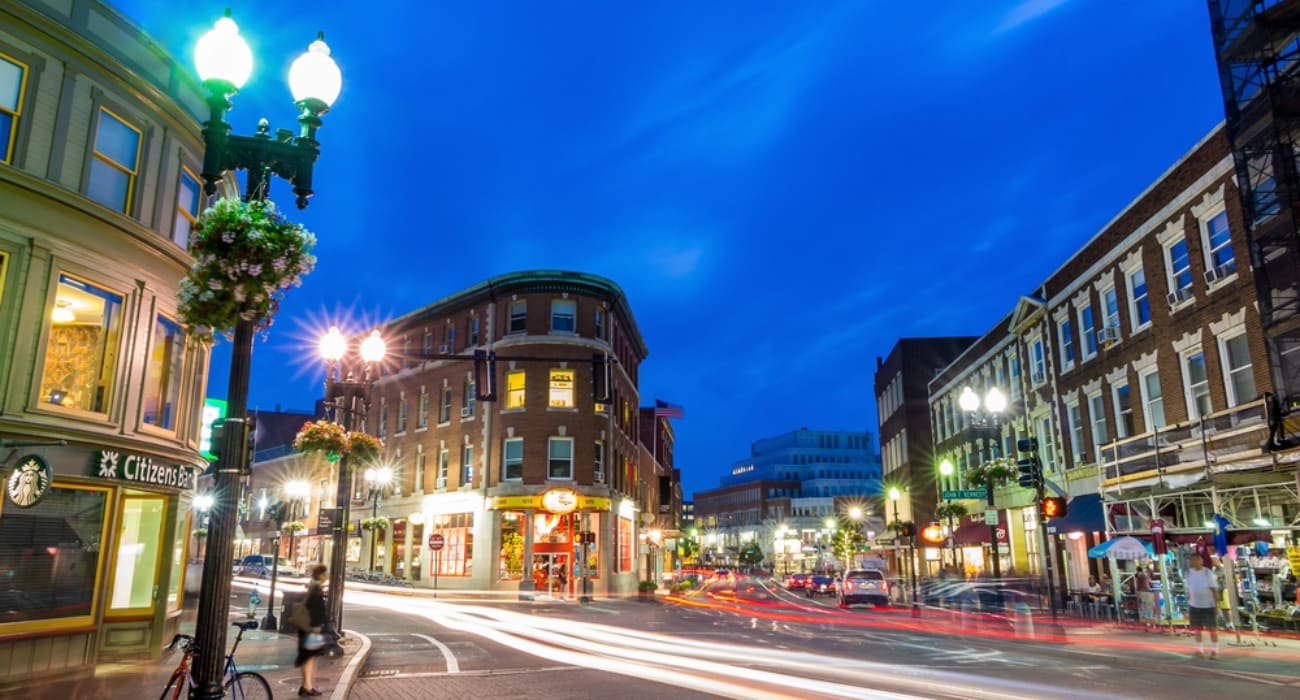 Witness the Delightful Chaos of Harvard Square