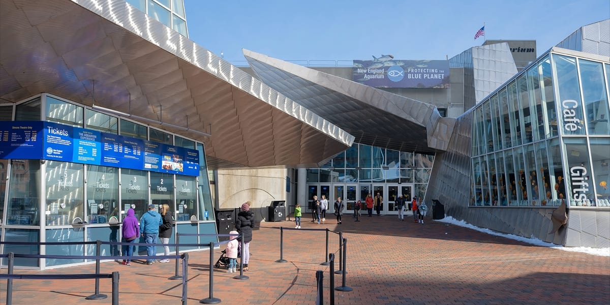 The New England Aquarium