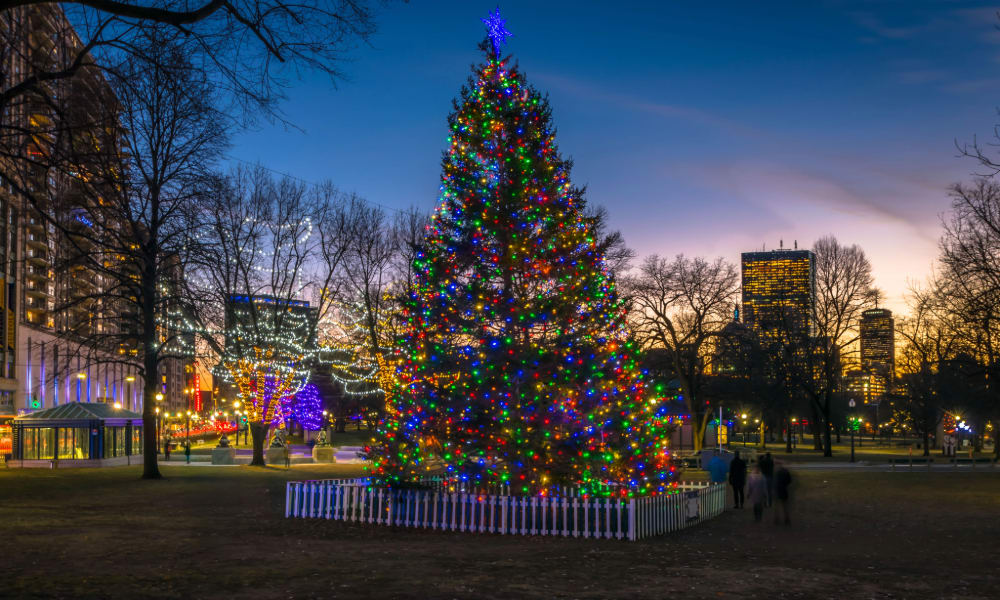 Christmas tree lighting at Boston Common