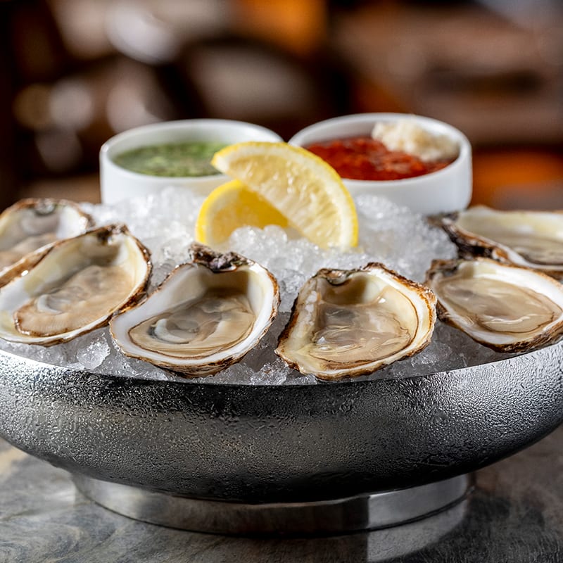 Oysters on a platter