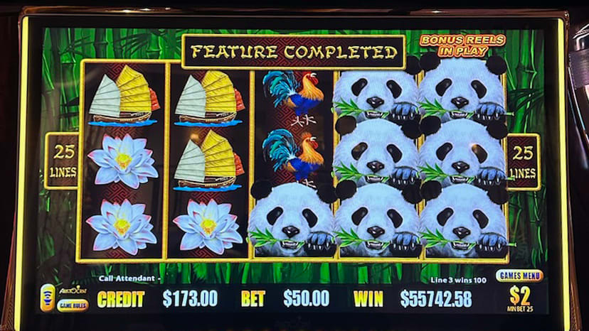 A slot machine screen showing a winner
