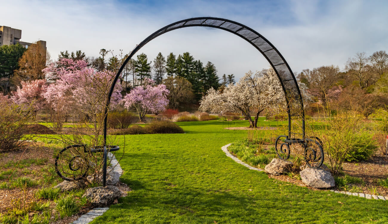 Arnold Arboretum in Boston