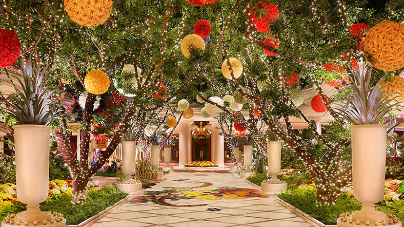 Wynn Rewards Exclusive