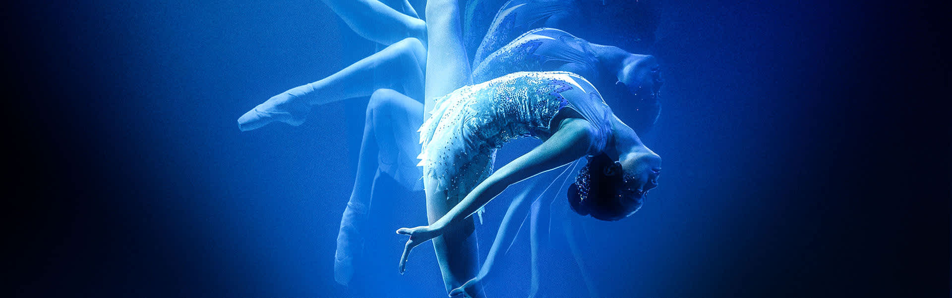 Awakening Cyber Sale