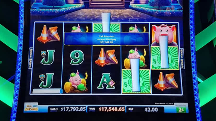 A guest won $17,548