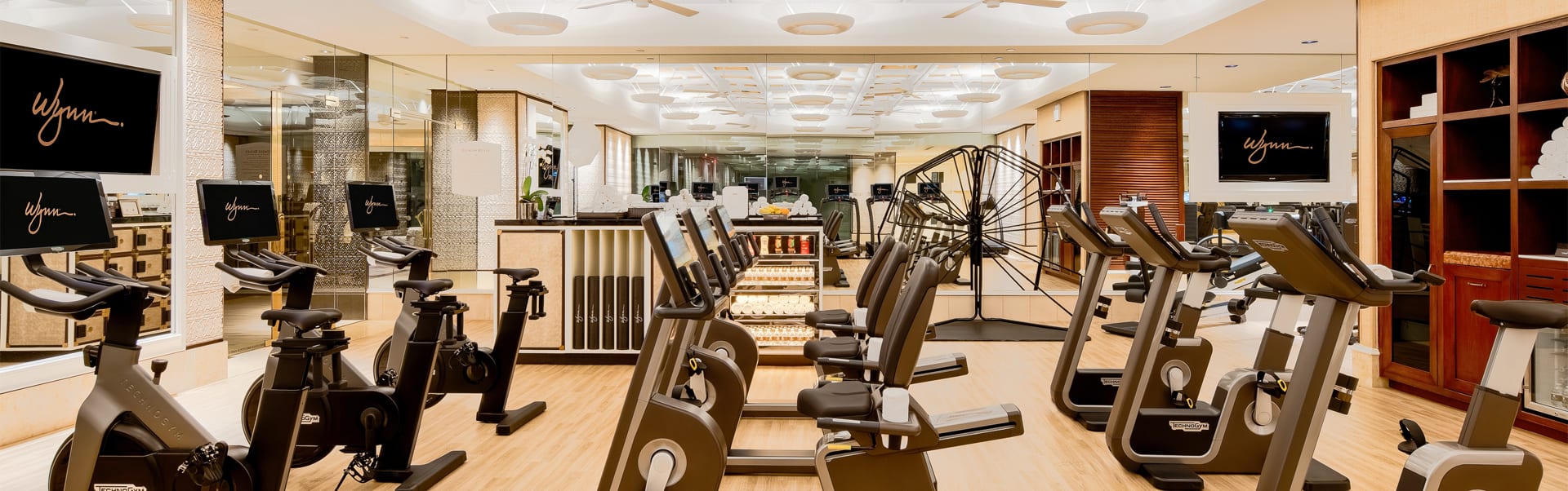 Wynn Fitness Center Bikes