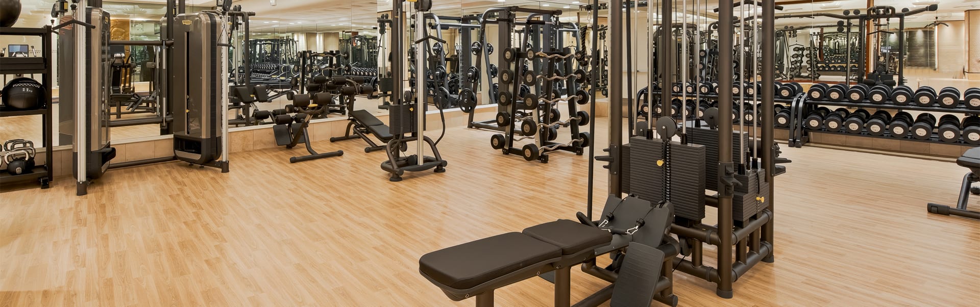 Wynn Fitness Center - Cable and Free Weights