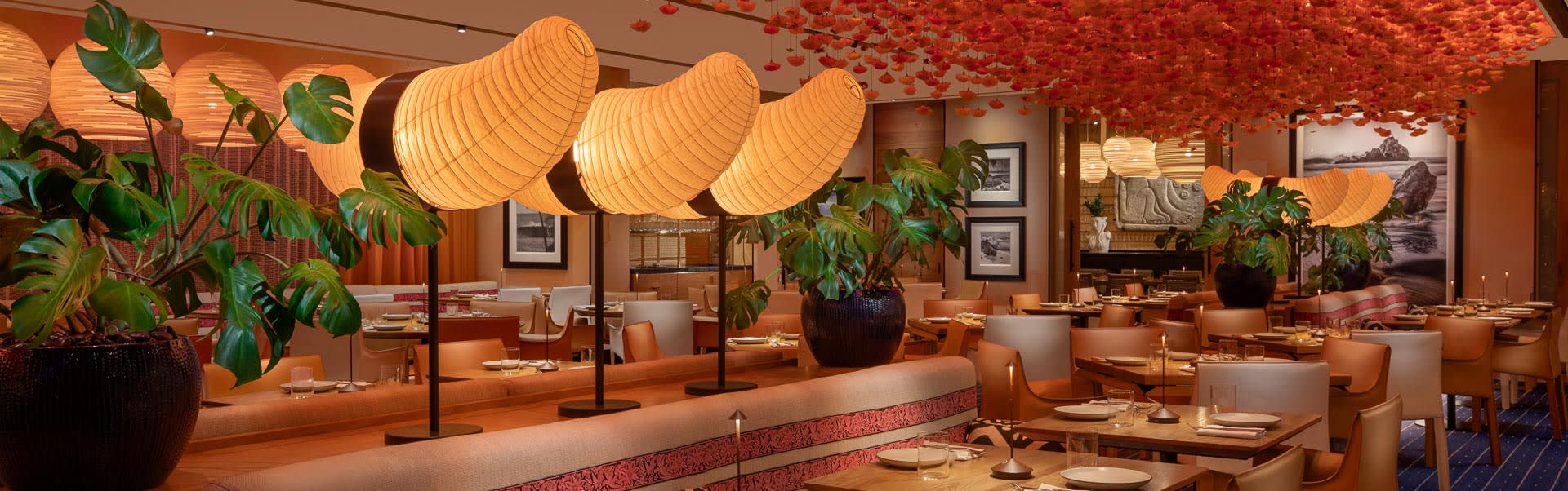 Casa Playa Main Dining Room - Alternate Angle