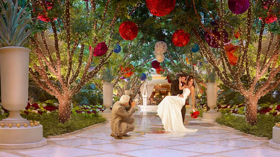 Wedding Photographer in Atrium