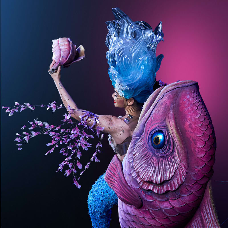 Awakening late show special offer