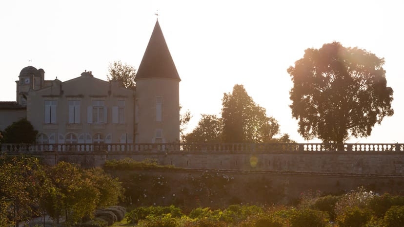 Château Lafite Rothschild Dinner - Scenery